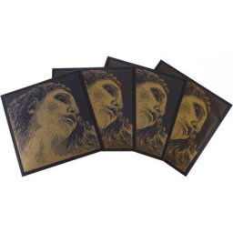 Pirastro Evah Pirazzi Gold G-Gold BE