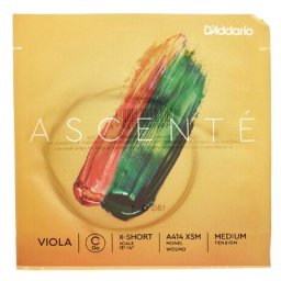 Daddario A414 XSM Ascente Viola C