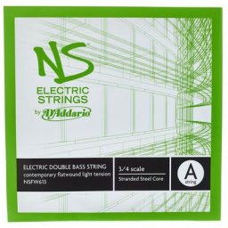 Daddario NSFW613 Electric Bass Str. A