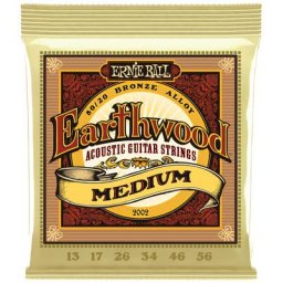 Ernie Ball 2002 Earthwood Bronze