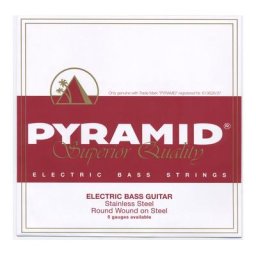 Pyramid 110 Single String bass guitar