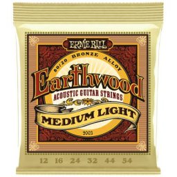 Ernie Ball 2003 Earthwood Bronze