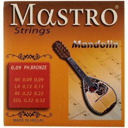Mastro Mandolin 8 Strings 009 PB