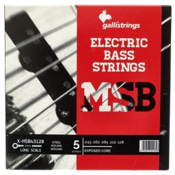 Galli Strings ECS5 Exposed Core Bass Str.