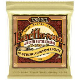 Ernie Ball 2013 Earthwood Custom Bronze