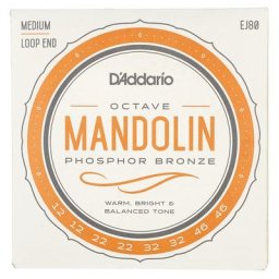 Daddario EJ80