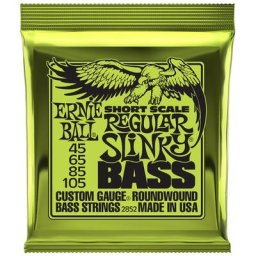 Ernie Ball 2852 Regular Slinky Short