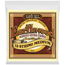 Ernie Ball 2012 Earthwood Bronze