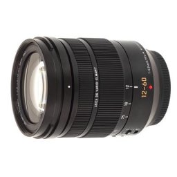 Panasonic Leica DG Vario-Elmarit 12-60mm