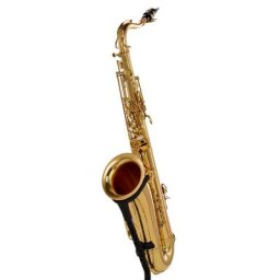 Schagerl Superior Tenor Sax. T-1L