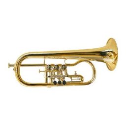 Gerd Dowids BZ-Series Bb-Flugelhorn G88