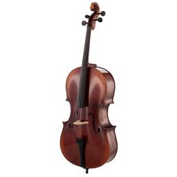 Gewa Maestro 6 Antiqued Cello 4/4