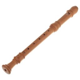 Küng SUPERIO Alto Recorder 2401