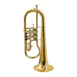 Gerd Dowids BZ-Series Bb-Flugelhorn GL91GP