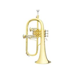 B&S 3145G-L Challenger I