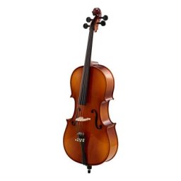 Roth & Junius Europe 1/4 Student Cello Set