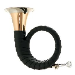 Dotzauer Meister Fürst Pless Horn in Bb