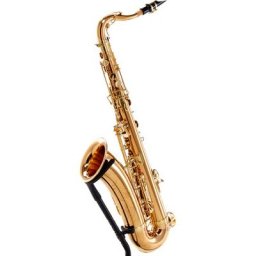 Yanagisawa T-WO20 Elite Tenor Saxophone