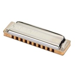 Suzuki M-20 Manji harmonic minor in D