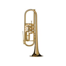 Gerd Dowids BZ-Series GL72 GP Bb-Trumpet