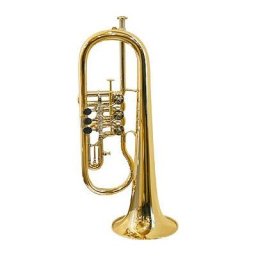Gerd Dowids BZ-Series Bb-Flugelhorn G88 GP