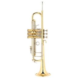 Bach ML19043 Bb- Trumpet lacquered