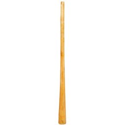 Thomann Didgeridoo Eucalyp Proline Cis