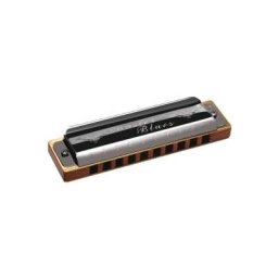 Hering Master Blues E