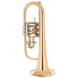 Peter Oberrauch Rosengarten Flgh 10,95