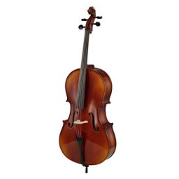 Gewa Allegro VC1 Cello Set 1/2 CB