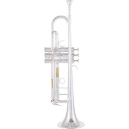 Yamaha YTR-8335S 04 Trumpet