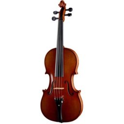Ernst Heinrich Roth 62/VII-R Master Violin 4/4