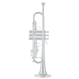 Kühnl & Hoyer Sella Bb-Trumpet 115 13