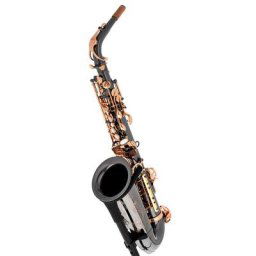 Thomann Custom Line ASBBG