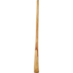 Thomann Didgeridoo Eucaly. Proline Cis