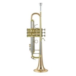 Bach 180-25G L Bb-Trompete
