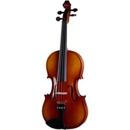 Roth & Junius Europe 13"" Student Viola Set