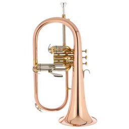 Thomann FH 600 G Bb-Flügelhorn