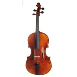 Gewa Maestro 41 Viola 16