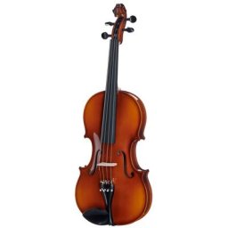 Roth & Junius RJVAE 16,5"" Student Viola Set