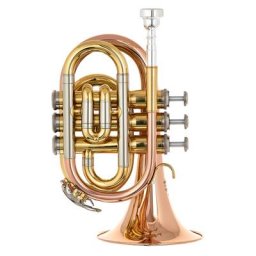 Thomann TR 25G Bb-Taschentrompete