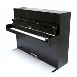 Blüthner Model D