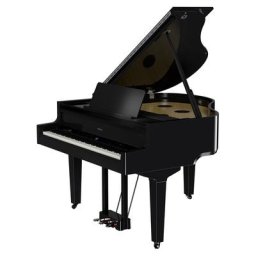 Roland GP-9 PE