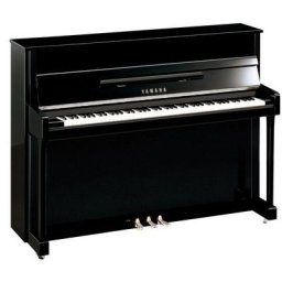 Yamaha b2 PEC