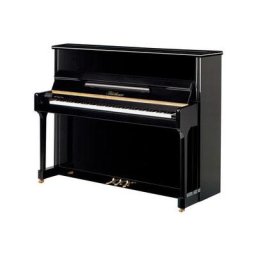 Blüthner Model C