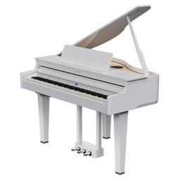 Roland GP-6 PW
