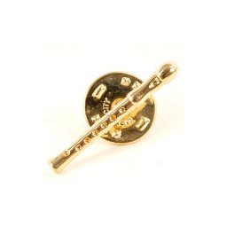 Art of Music Pin Recorder