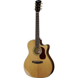 Cort Gold A6 Bocote