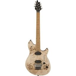 Evh Wolfgang WG Standard Poplar