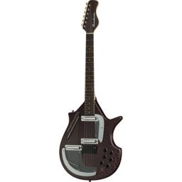 Danelectro Sitar